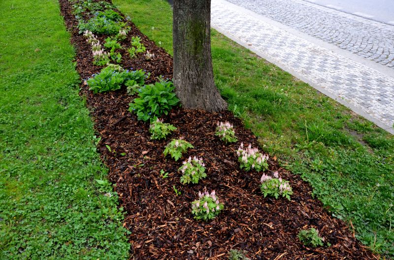 Mulch Spread in a Garden Bed