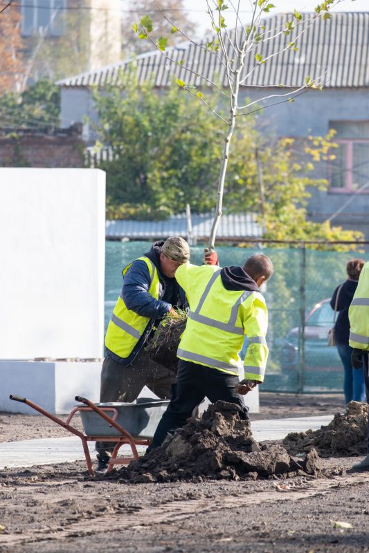 Dogwood Tree Planting in Ventura County, CA