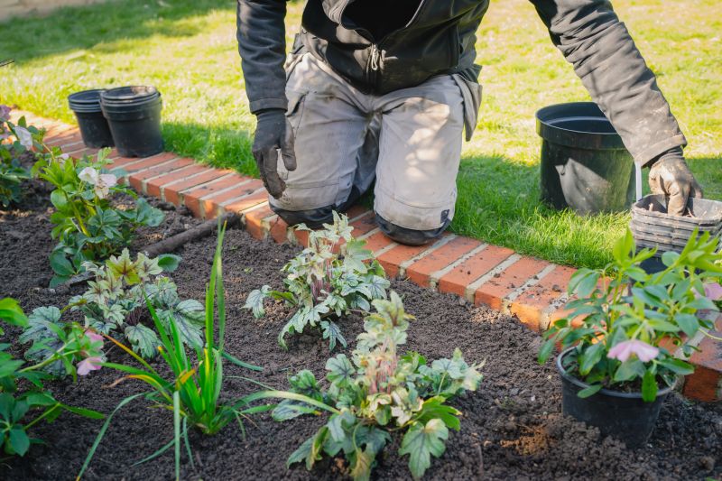 Hedge Planting in Ventura County, CA