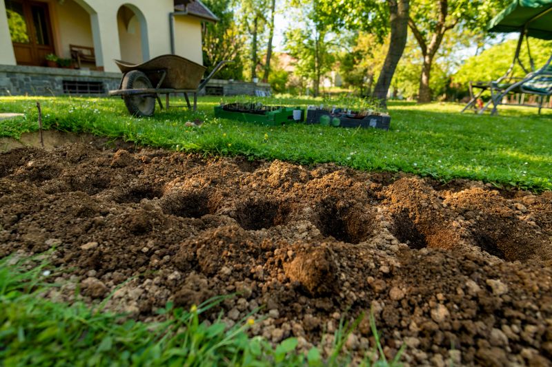 Home Gardening Service in Ventura County, CA
