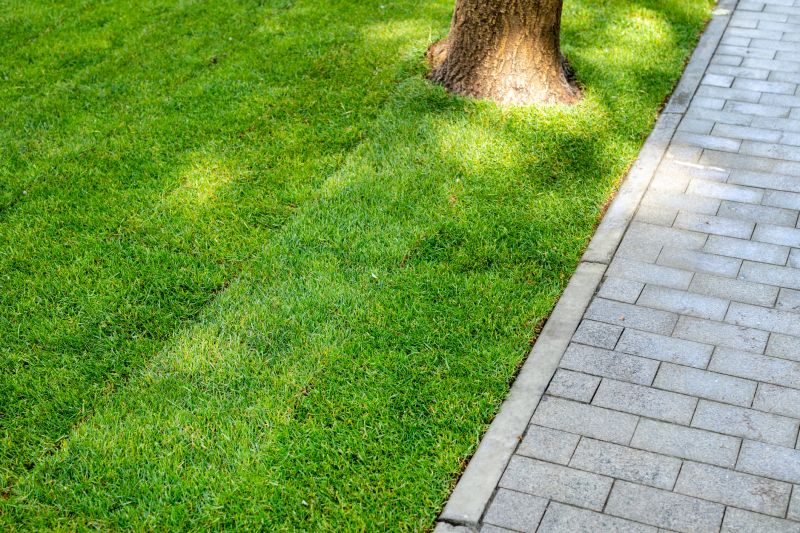 Patio Landscaping Service in Ventura County, CA