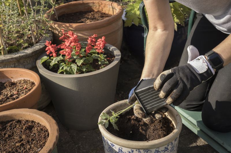 Perennials Planting in Honolulu, HI