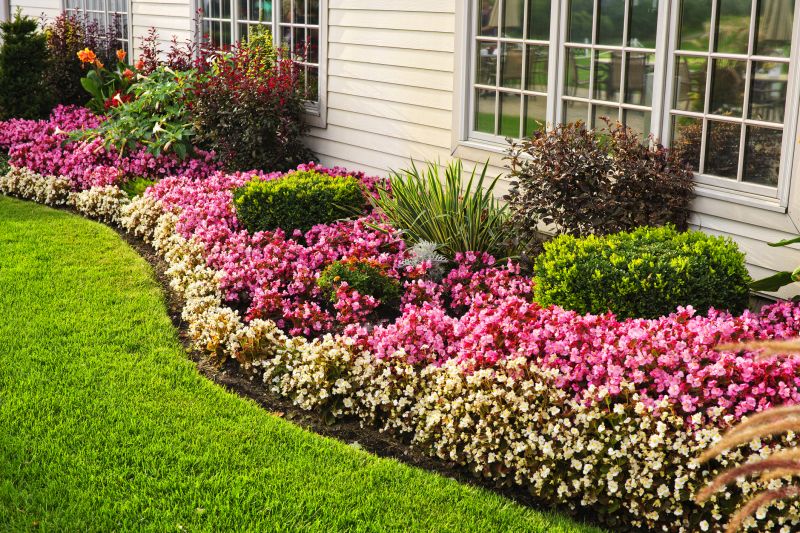 Privacy Shrub Planting in Ventura County, CA