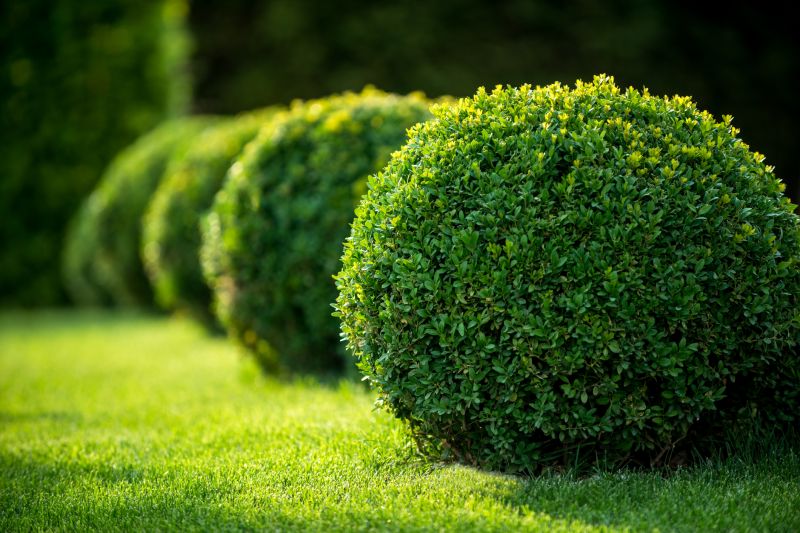 Residential Landscaping in Ventura County, CA