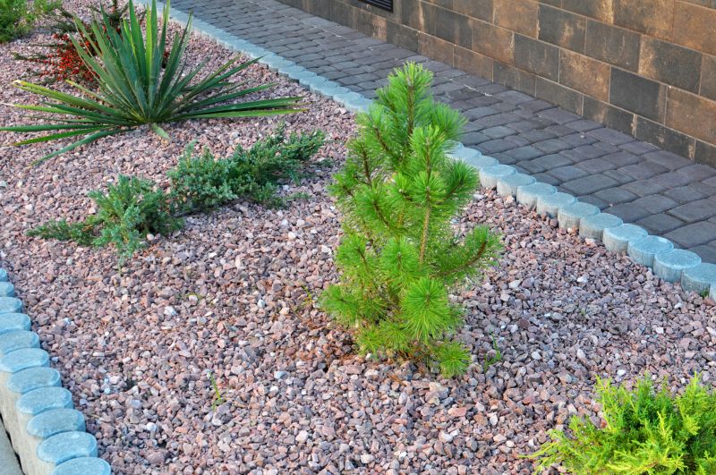 Tree Edging Installation in Citrus County, FL