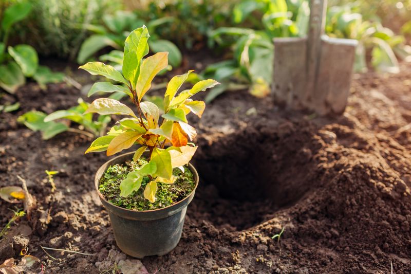 Honolulu, HI