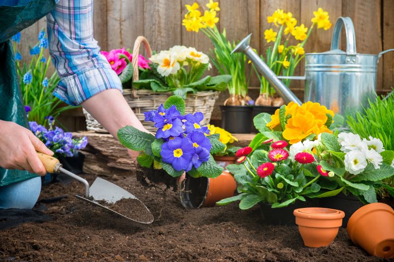Home Gardening Service in Ventura County, CA